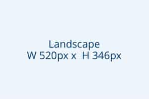 Landscape 520x346
