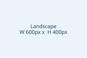 Landscape 600x400